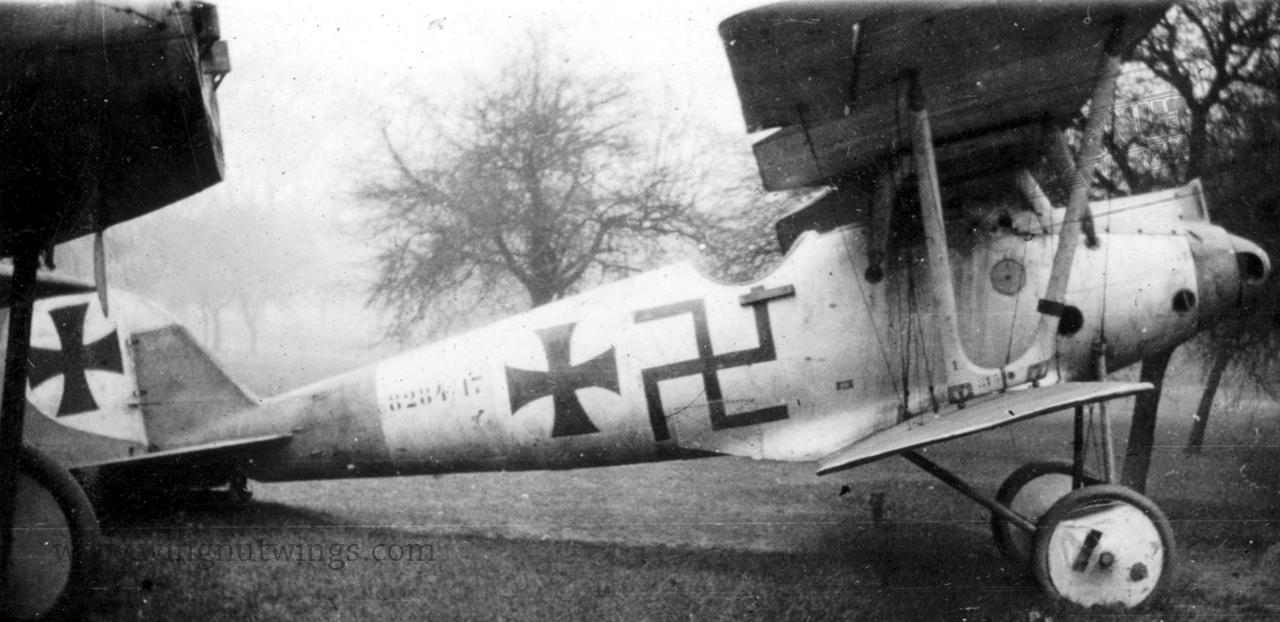 Wingnut Wings - 1/32 Pfalz D.IIIa 'Flying Circus part 1